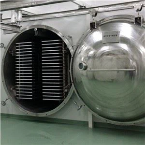 Berquq Frott Konfettura Ippriservat Frott Freeze Dryer