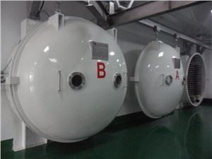 Frott Industrijali Freeze Dryers Makkinarju għall-Ipproċessar tal-Ikel