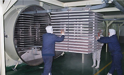 Manifattur tal-Freze Dryer