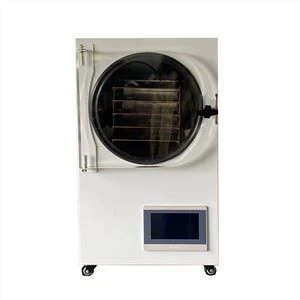 Mini Intelliġenti Home Vacuum Freeze Dryer